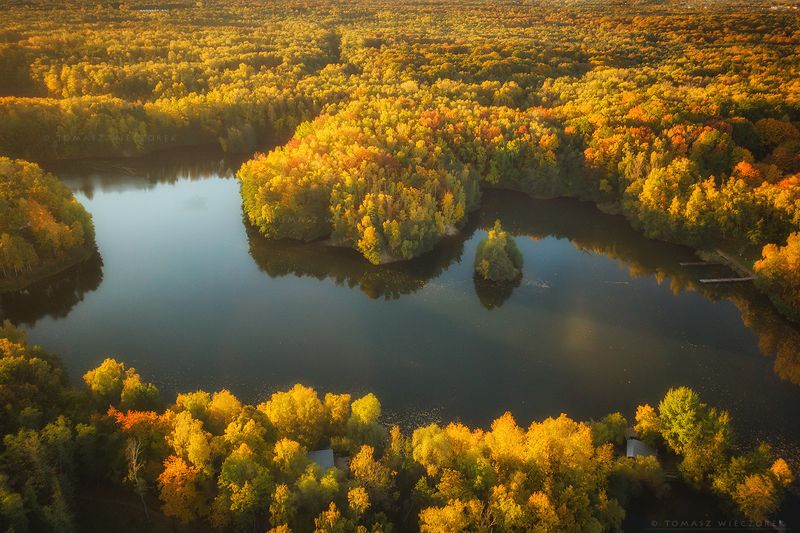 landscape, poland, light, autumn, awesome, amazing, sunrise, sunset, lovely, nature, travel, drone, trees, orange, shadows, dji, lake, colors Colors of autumnphoto preview
