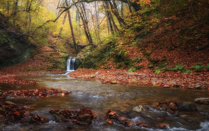 мишоко На осеннем Мишокоphoto preview