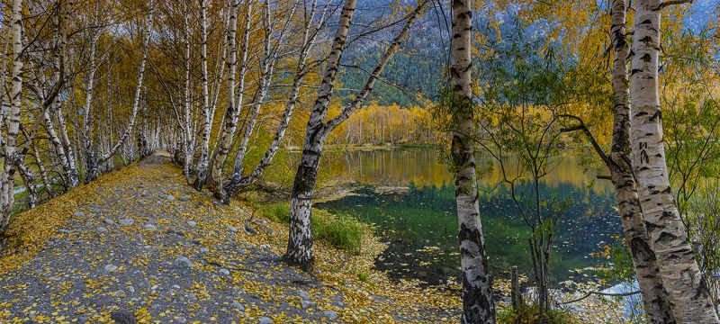 Тропа уходящей осени.photo preview