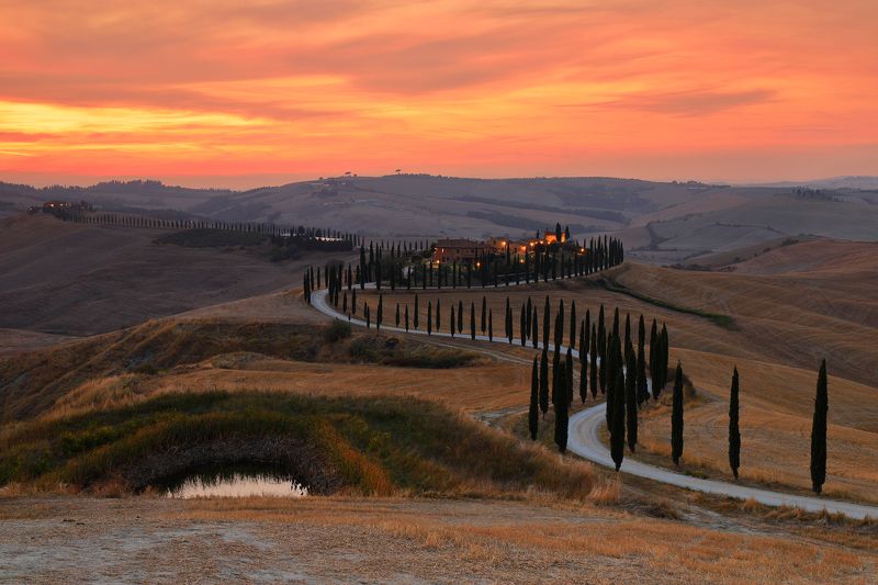 tuscany, sunset, cypresses, road, house, field, Agriturismophoto preview