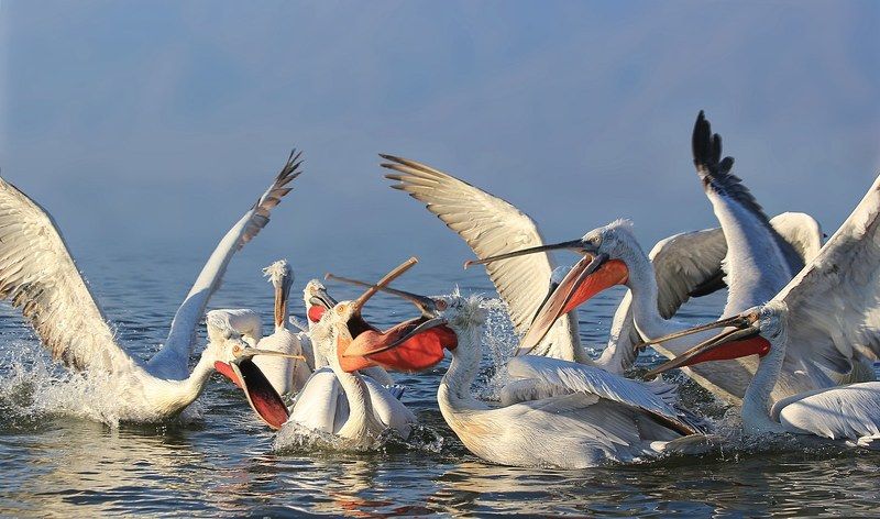 Семейные обсуждения фото превью