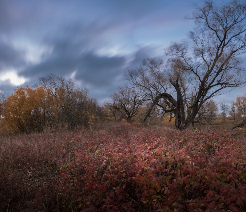 Красный октябрьphoto preview