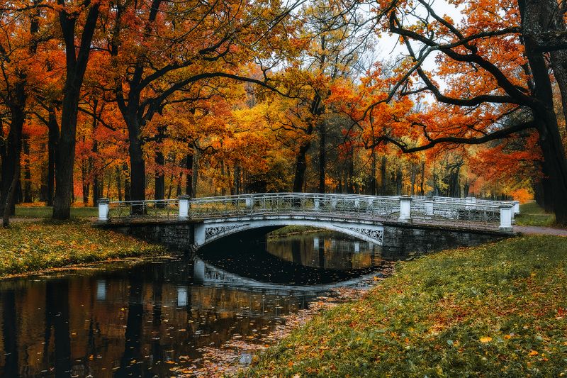 пушкин, осень, царское село, парк Осенние краскиphoto preview