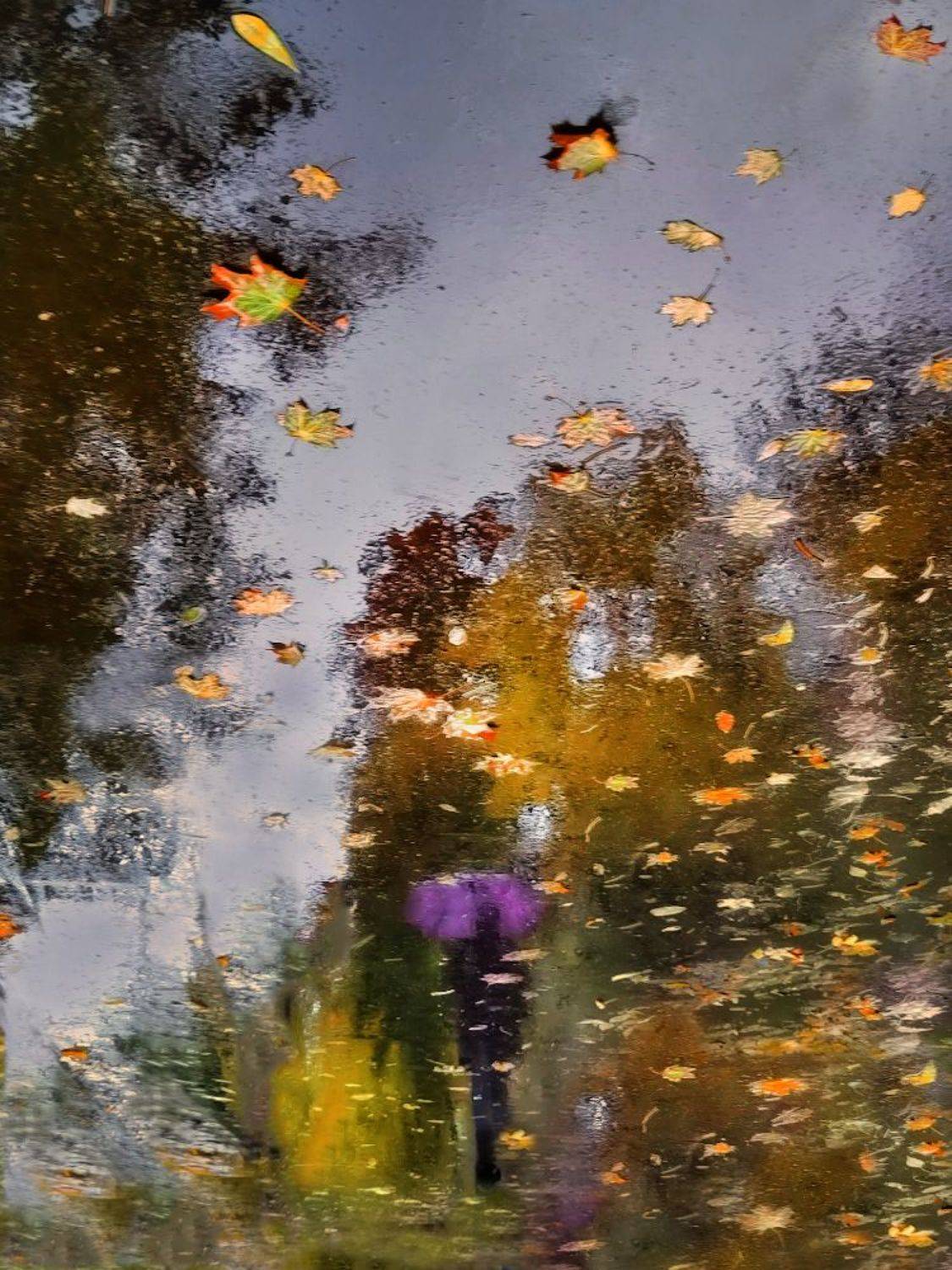 Осень рисует отражения на асфальте.... Автор: Ирина Заколдаева , Ирина Заколдаева