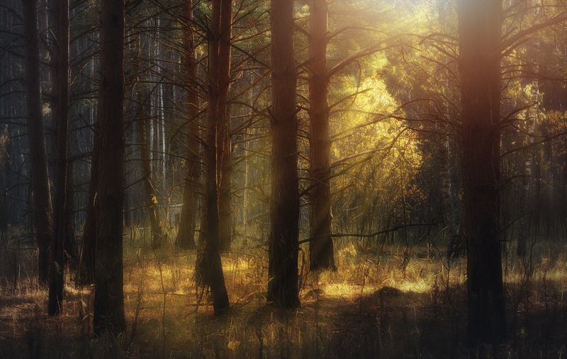 Последние дни осени.photo preview