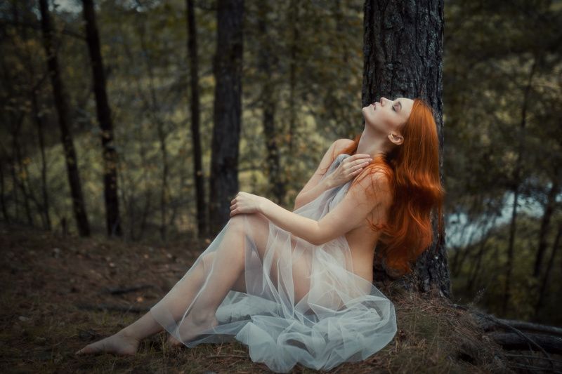 Woodlandphoto preview