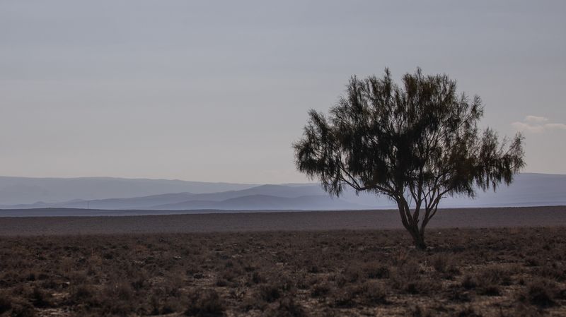 Desert of North Uzbekistanphoto preview