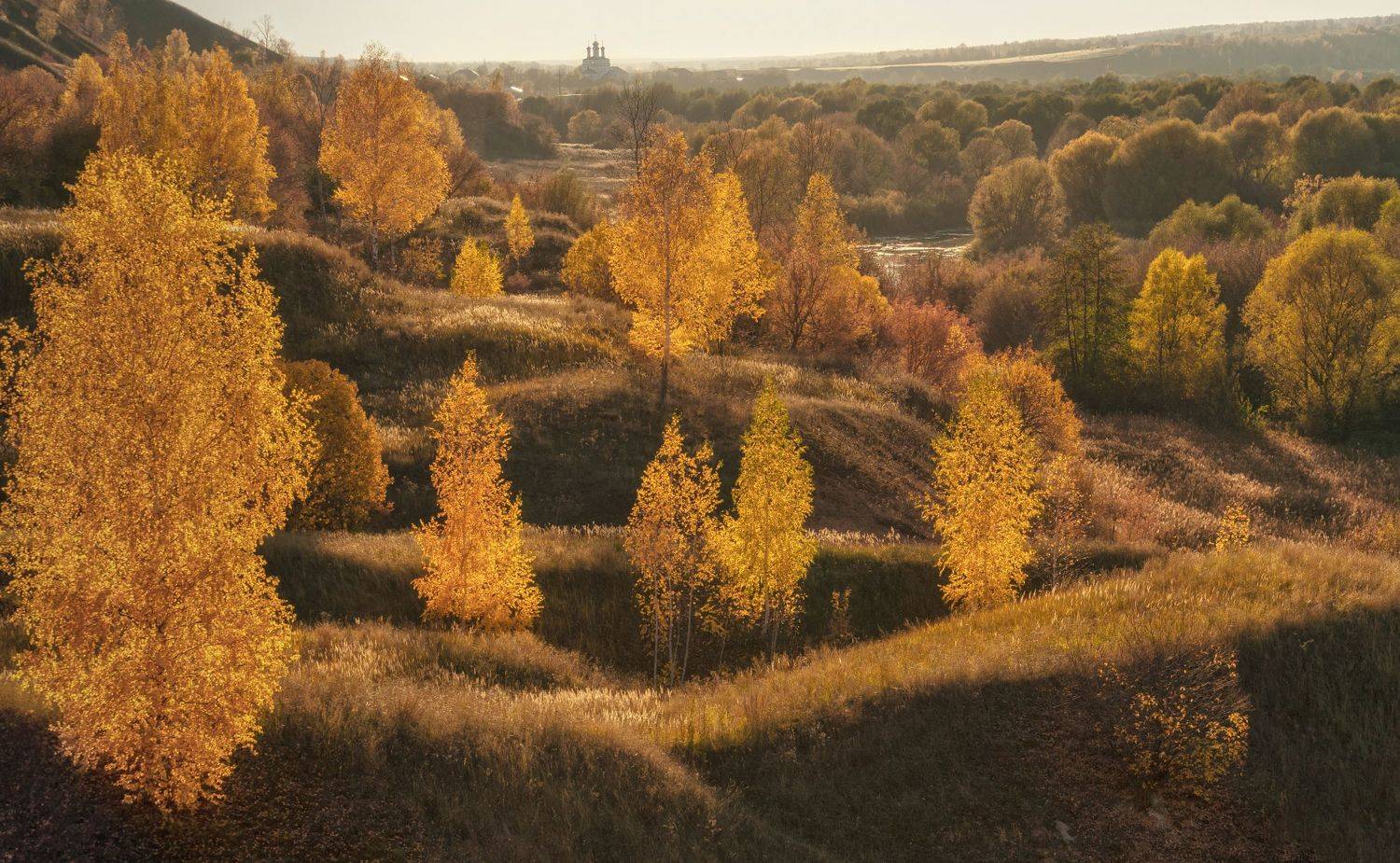 , Андрей Колесов