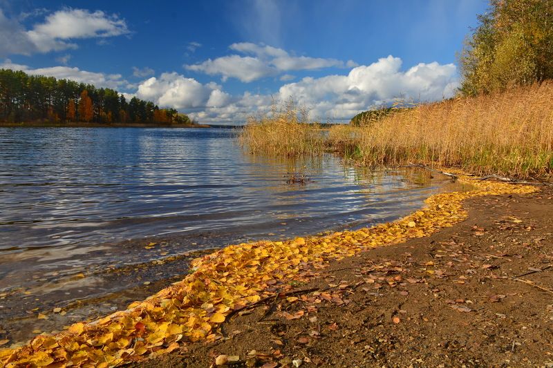 Осень Берег Селигераphoto preview