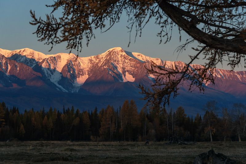 курайская степь, утро, рассвет, алтай, горный алтай, чуйский тракт Рассвет в Курайской степиphoto preview