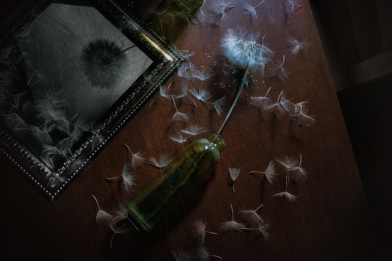 одуванчик, натюрморт, вид сверху На столеphoto preview