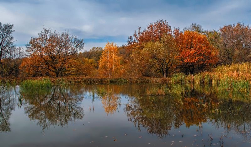 Прохладная прозрачностьphoto preview