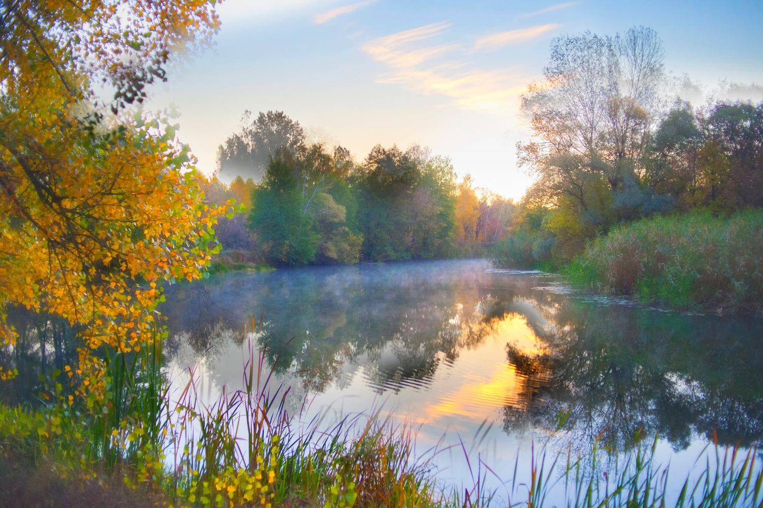 пейзаж, осень, лес, Roma  Chitinskiy
