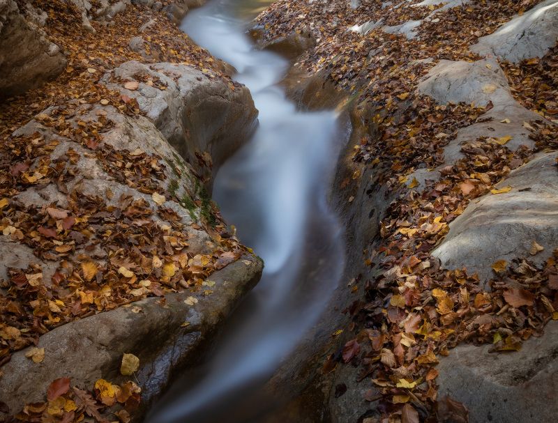 Осенние мотивы...photo preview