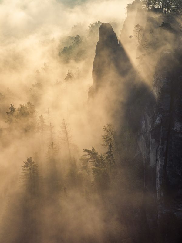 fog, sunrise, landscape, bastei, germany, mountains, moutain Fog in Basteiphoto preview