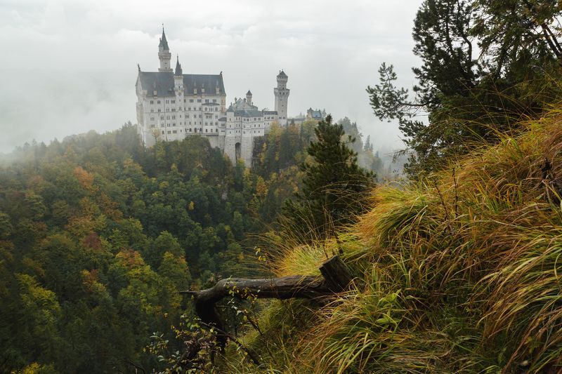 замок; горы; лес; альпы; германия Magic castlephoto preview