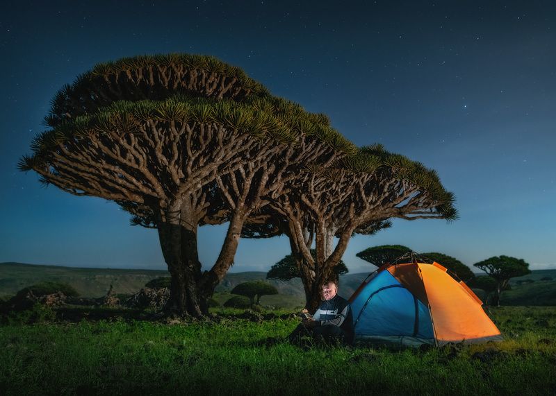 сокотра йемен socotra soqotra yemen драконово дерево вечер dragontree Лунная ночь на плато Диксамphoto preview