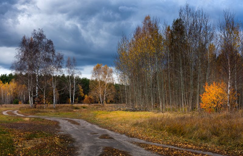 луг осень октябрь вечер тучи облака Какое безбрежное небоphoto preview