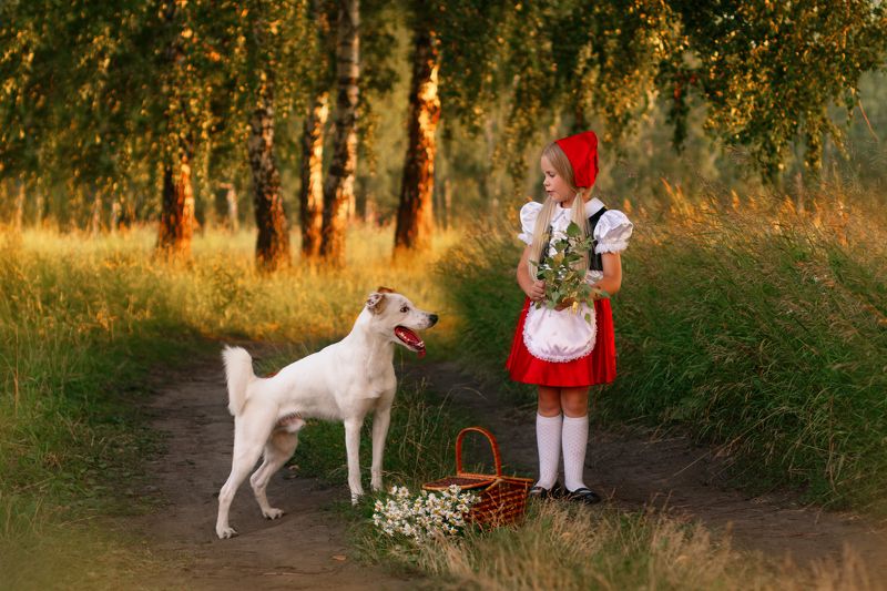 Красная шапочкаphoto preview