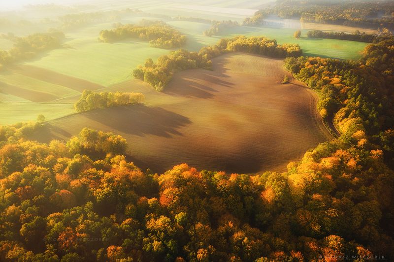 landscape, poland, light, autumn, awesome, amazing, sunrise, sunset, lovely, nature, travel, drone, trees, orange, shadows, dji, colors, fields, heart The Heartphoto preview