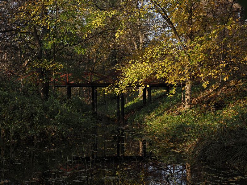 осенний мостикphoto preview