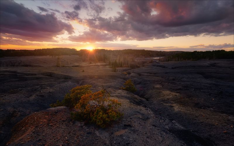 Вспыхнув на миг...photo preview