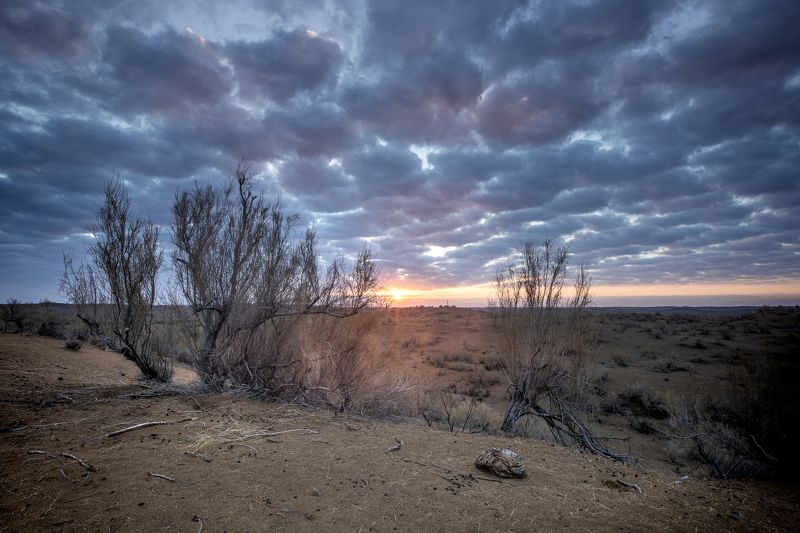 sunrise, sun, dawn, desert, landscape, dune, sky, clouds Sunrise in Usbekistan desertphoto preview