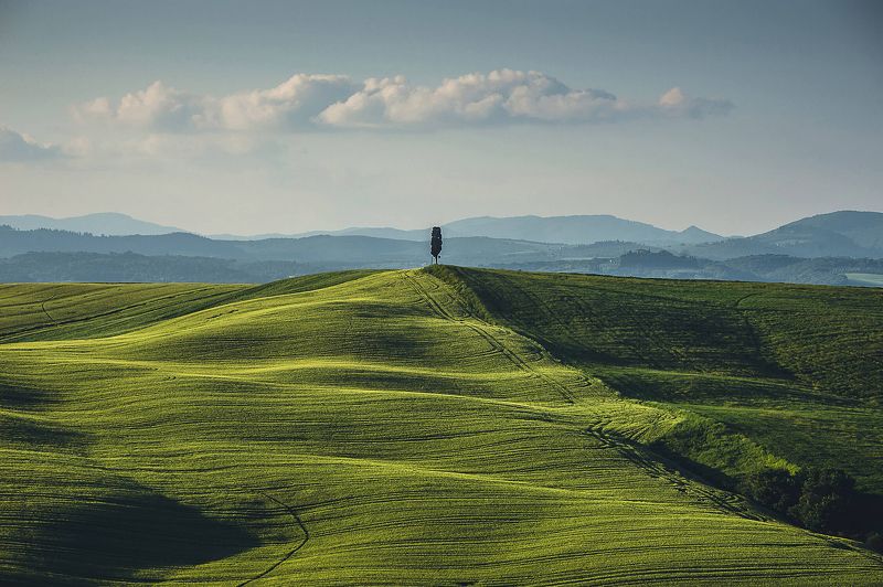 Один в полеphoto preview