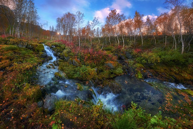 Стремительный потокphoto preview