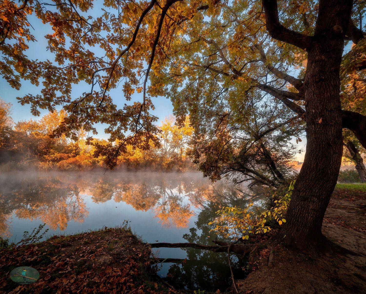 Осеннее утро. Автор: Alexander Plekhanov , Alexander Plekhanov