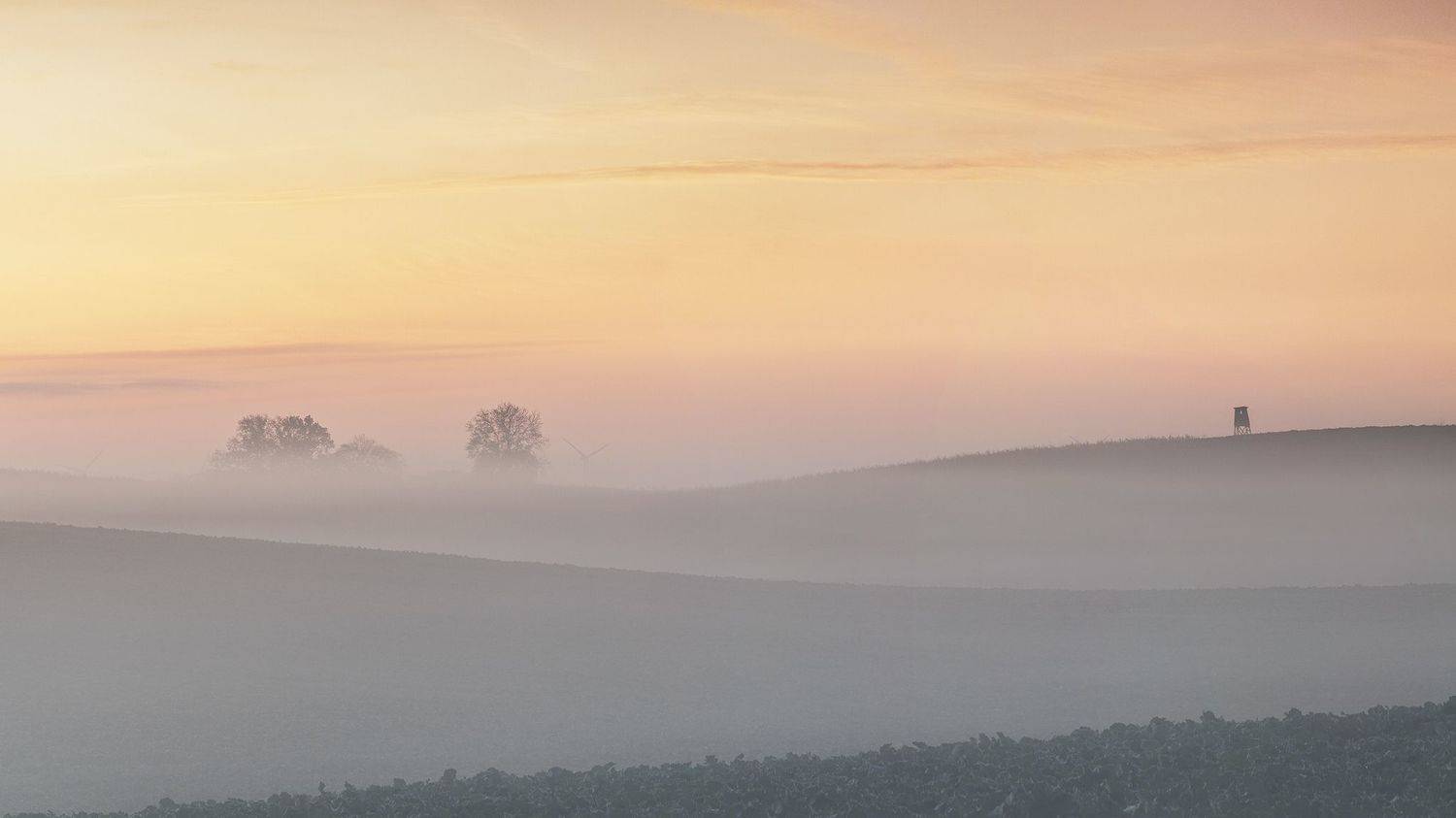 Place of observation. Автор: Lukasz Zugaj mist, morning, sunrise, field, trees, poland, green, red, sky, Lukasz Zugaj