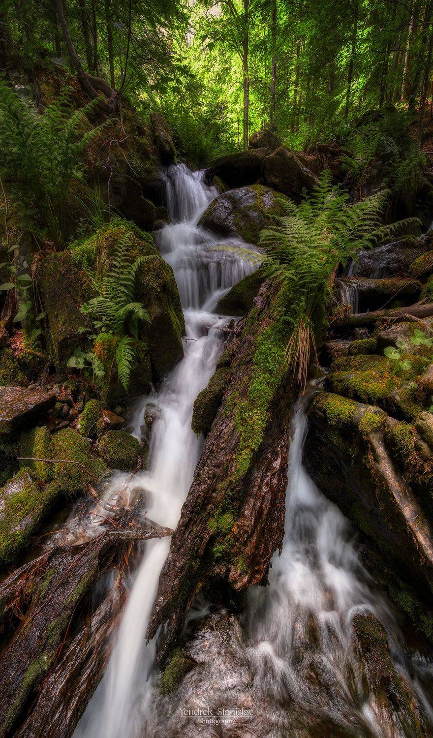 пейзаж, водопад, вода, лес, лето, ручей, landscape, waterfall, water, forest, summer, stream, Stanislav Yendrek