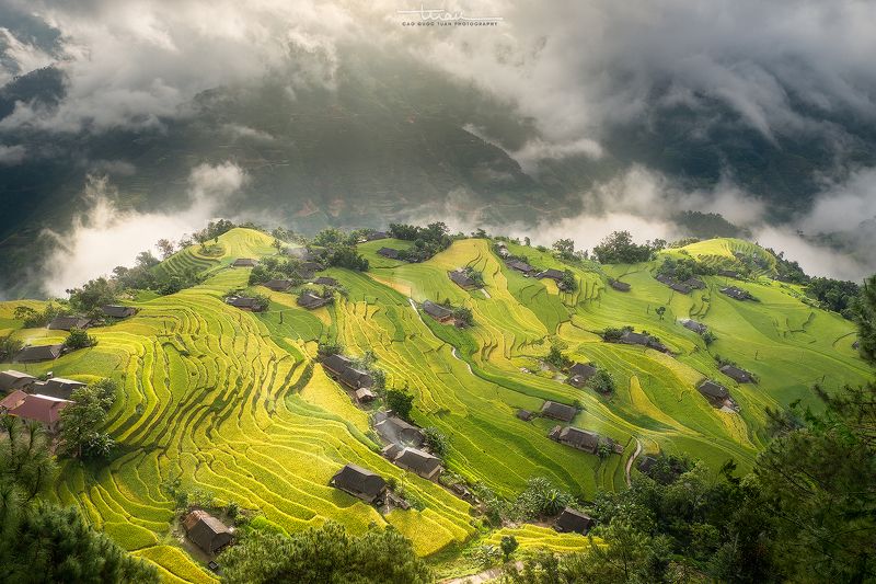 Ban Phung 01photo preview