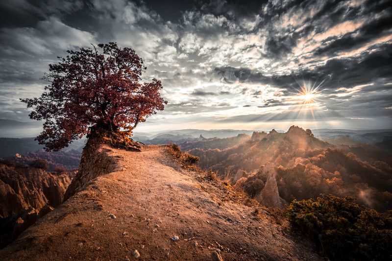 Say good bye to the sunphoto preview