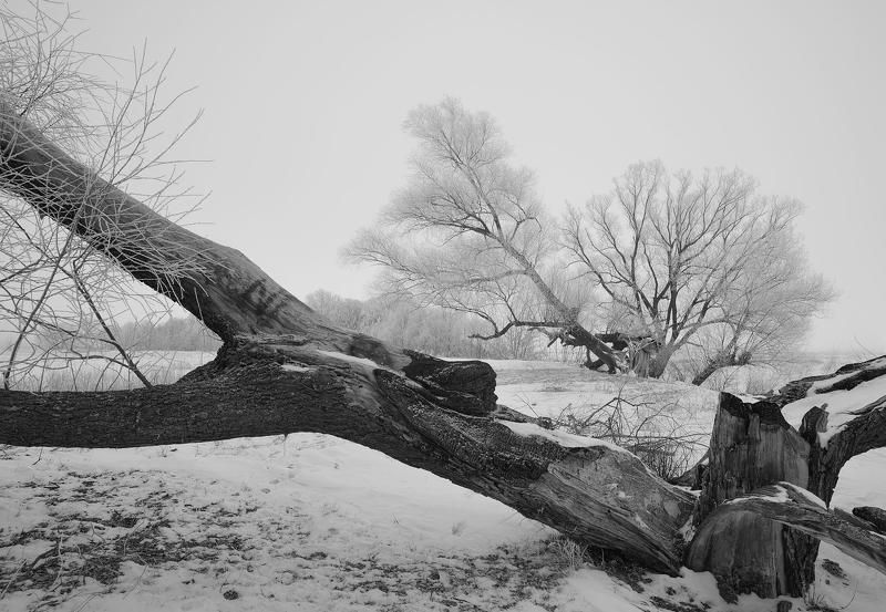 Уходит всё...photo preview