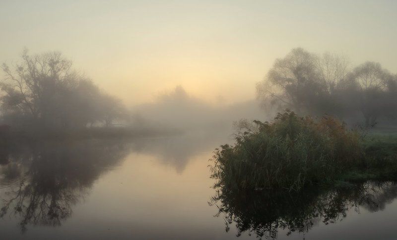 Наедине с рекойphoto preview