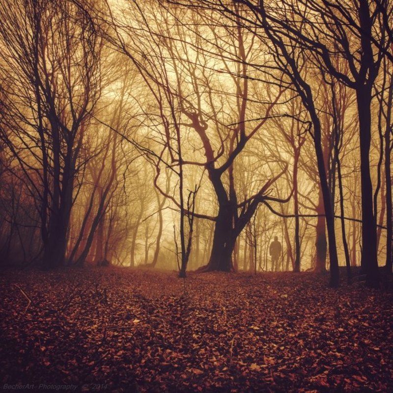 Say Goodbye XVIIIphoto preview