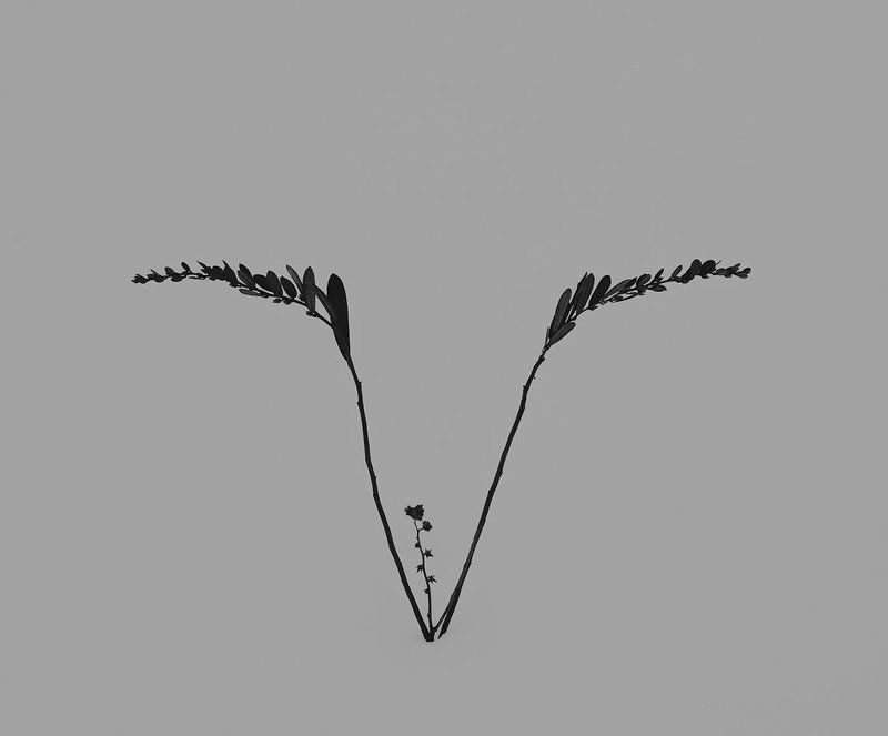 Sleepingphoto preview