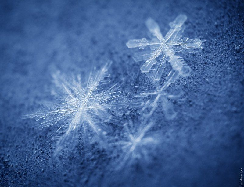 Снежинкиphoto preview