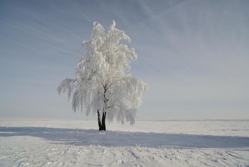 Белые одежды...photo preview