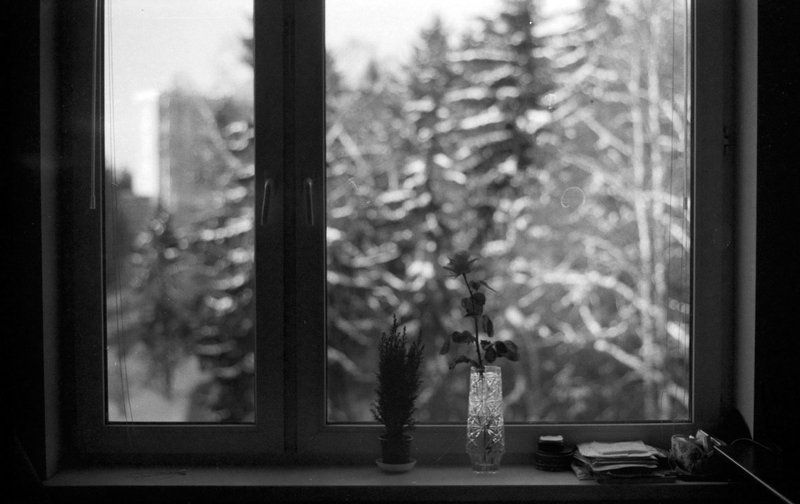 tarbeev Зимний деньphoto preview