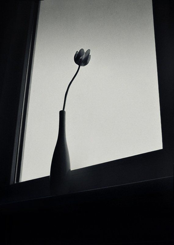 Simplicityphoto preview