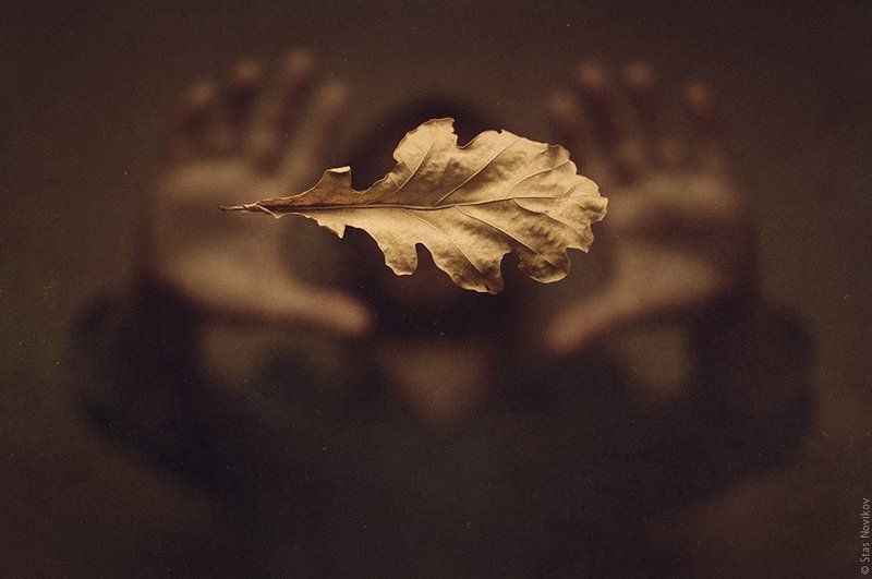 Автопортрет 255photo preview