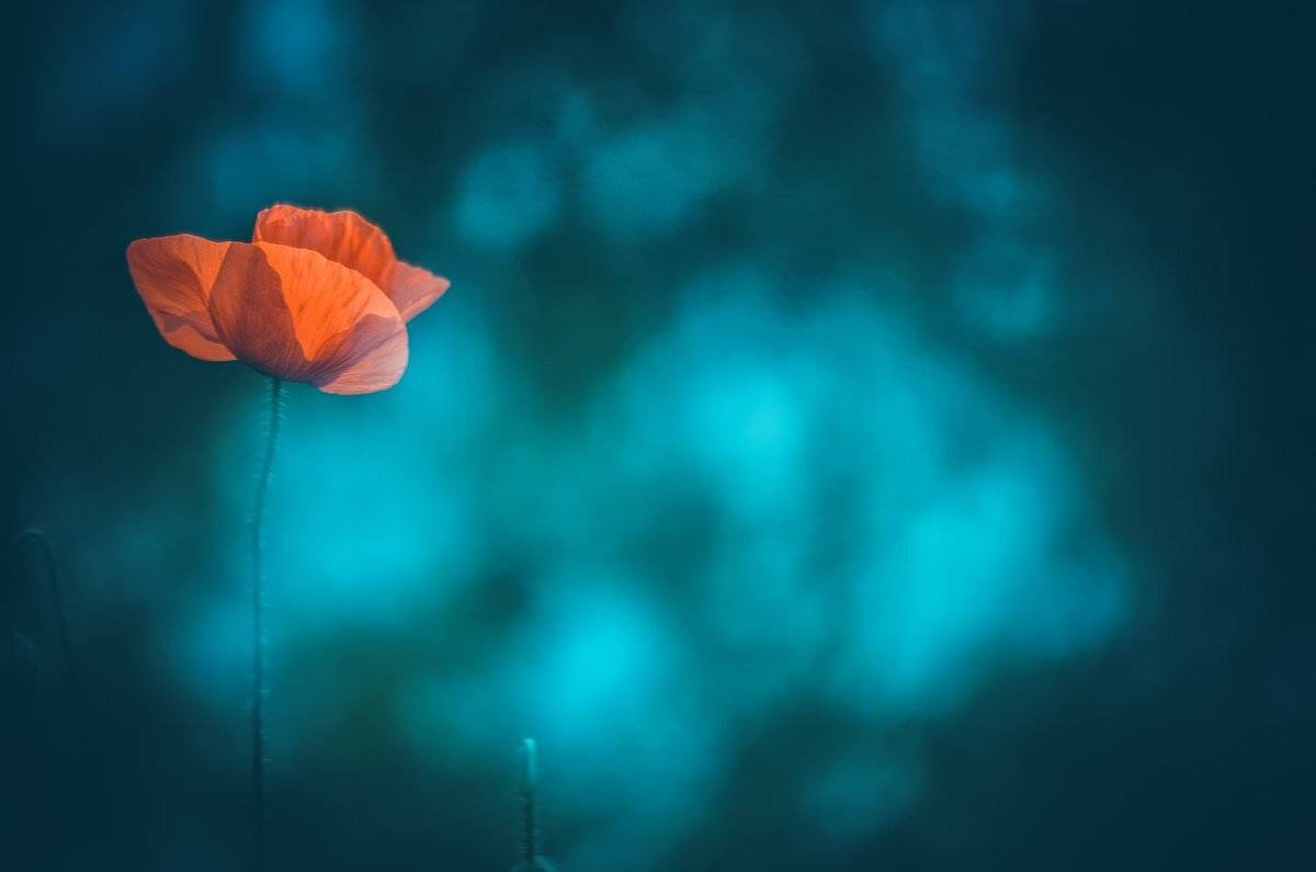 , Татьяна Аверина