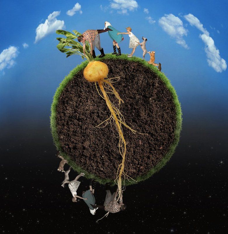 Бабка, Внучка, Дед, Жучка, Кошка, Мышка, Сказка Репка, Юмор Тянут-потянут, вытянуть не могут... фото превью