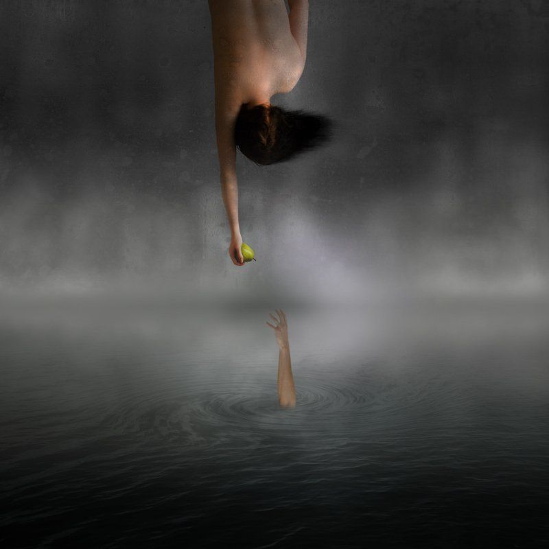 FORBIDDEN FRUITphoto preview