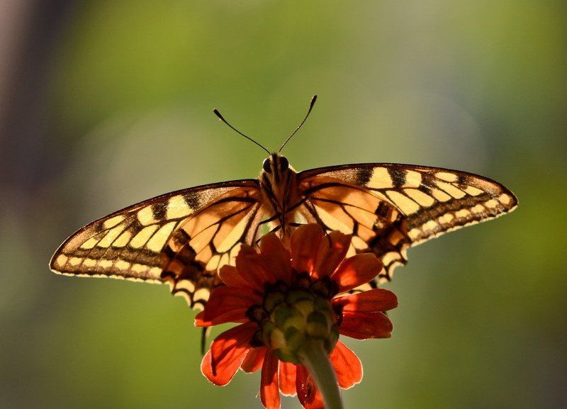 Воздушные очертания.photo preview