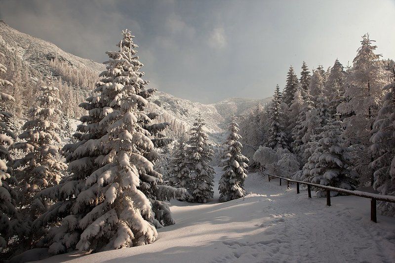 Сейчас бы тройку под уздцы...photo preview