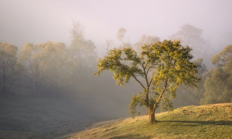 Горы, Карпаты, Свет Дары солнцаphoto preview
