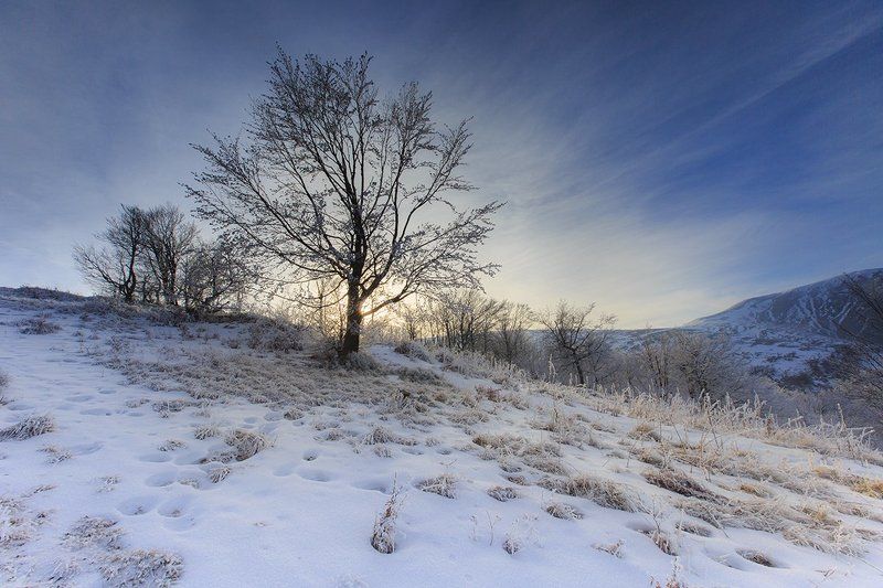 Карпатыphoto preview